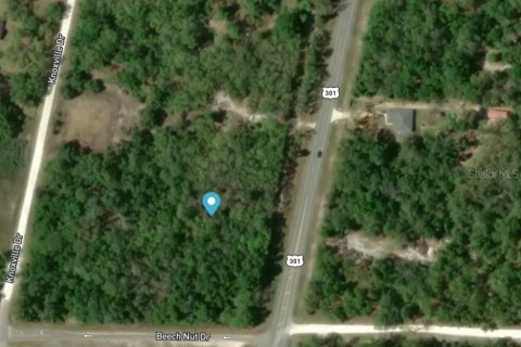 Terrain à Webster, Floride № 2098595