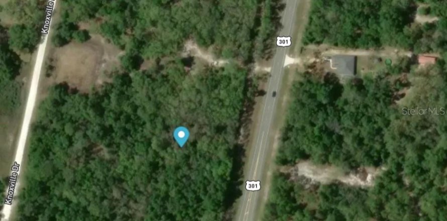 Terrain à Webster, Floride № 2098595