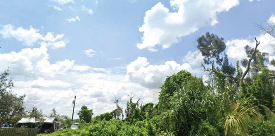 Land in Punta Gorda, Florida № 2165466