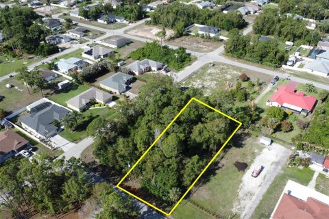 Land in Lehigh Acres, Florida № 2164957 - photo 10