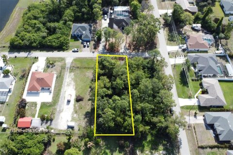 Land in Lehigh Acres, Florida № 2164957 - photo 6