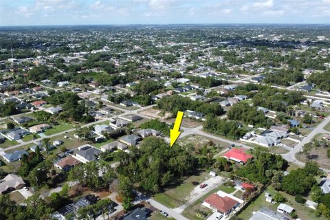 Land in Lehigh Acres, Florida № 2164957 - photo 9