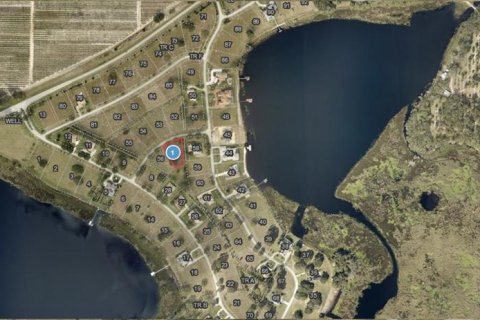 Land in Groveland, Florida № 1776697 - photo 2