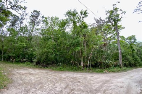 Terreno en venta en Kissimmee, Florida № 1090720 - foto 3