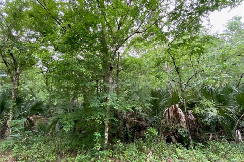 Terreno en venta en Kissimmee, Florida № 1090720 - foto 6