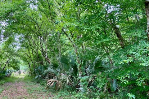 Terreno en venta en Kissimmee, Florida № 1090720 - foto 7