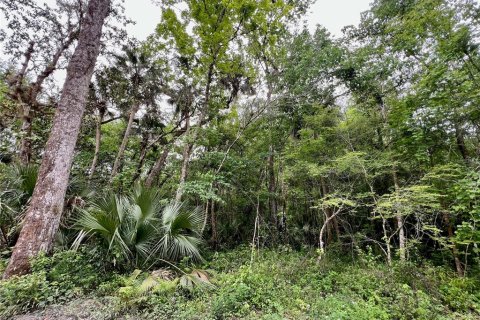 Terreno en venta en Kissimmee, Florida № 1090720 - foto 4