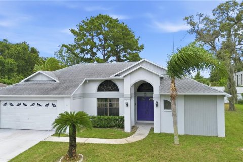 Casa en Hudson, Florida 4 dormitorios, 196.4 m2 № 2291681