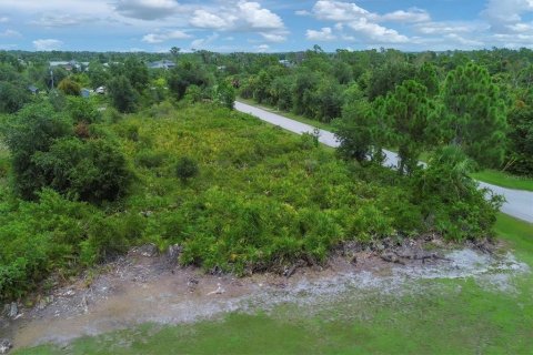 Land in Port Charlotte, Florida № 2161012 - photo 3