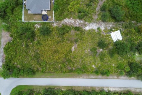 Land in Port Charlotte, Florida № 2161012 - photo 2