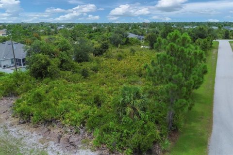 Land in Port Charlotte, Florida № 2161012