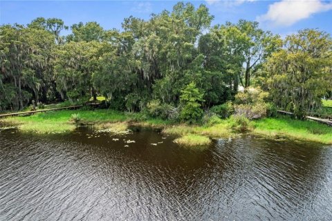 Land in Floral City, Florida № 1841648 - photo 2