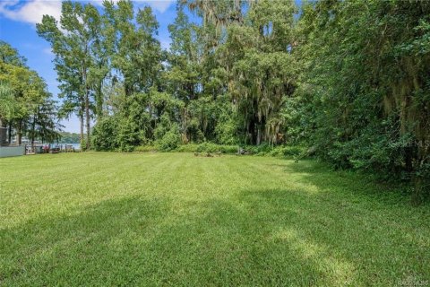Land in Floral City, Florida № 1841648 - photo 7