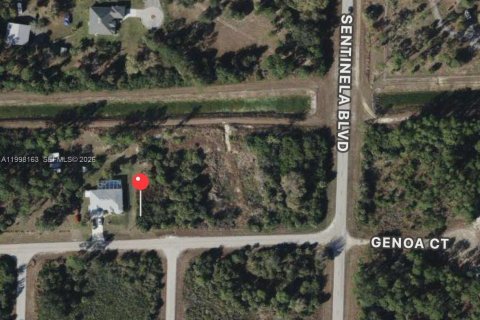 Commercial property in Lehigh Acres, Florida № 2158579 - photo 3