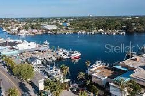Land in Tarpon Springs, Florida № 1520005 - photo 5