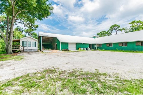 Land in Tarpon Springs, Florida № 1520005 - photo 11