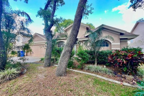 Villa ou maison à Valrico, Floride 4 chambres, 185.99 m2 № 2402943