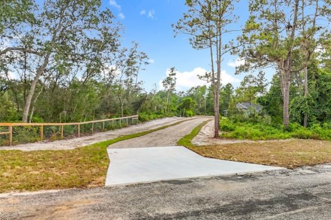 House in Eustis, Florida 4 bedrooms, 232.44 sq.m. № 1870567 - photo 2