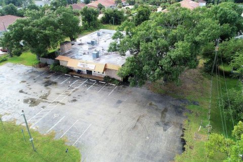 Immobilier commercial à vendre à Bunnell, Floride: 729.19 m2 № 1820760 - photo 29