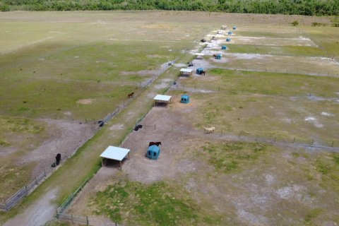 Propiedad comercial en venta en Okeechobee, Florida № 2146283 - foto 11