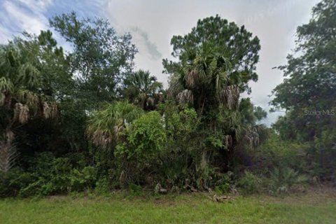Land in Port Charlotte, Florida № 2213728