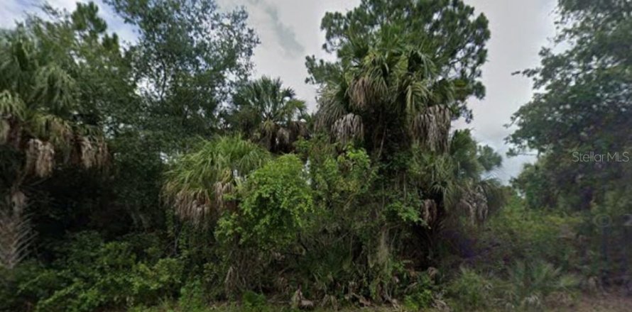 Terrain à Port Charlotte, Floride № 2213728