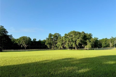 Land in Lake City, Florida № 1773214 - photo 2