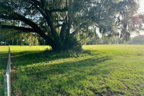 Land in Lake City, Florida № 1773214 - photo 10