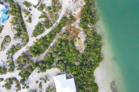 Land in Placida, Florida № 2091845 - photo 7