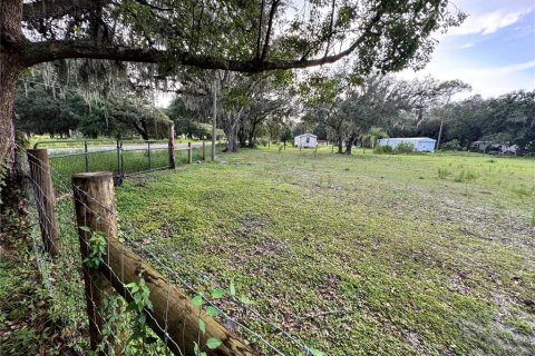 Land in Auburndale, Florida № 1874005 - photo 6