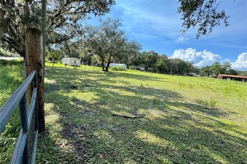Land in Auburndale, Florida № 1874005 - photo 2