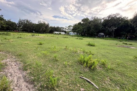Land in Auburndale, Florida № 1874005 - photo 5