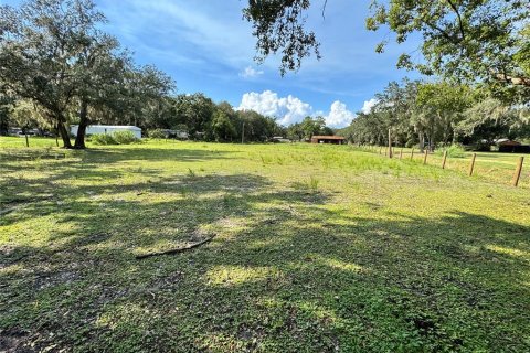 Land in Auburndale, Florida № 1874005 - photo 4