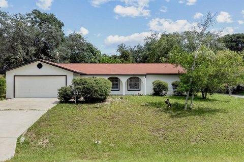Villa ou maison à Palm Coast, Floride 3 chambres, 160.72 m2 № 2356268