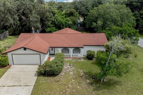 Villa ou maison à vendre à Palm Coast, Floride: 3 chambres, 160.72 m2 № 2356268 - photo 2