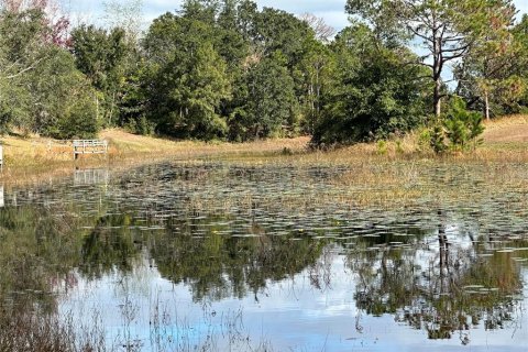 Terreno en venta en Spring Hill, Florida № 1542261 - foto 16