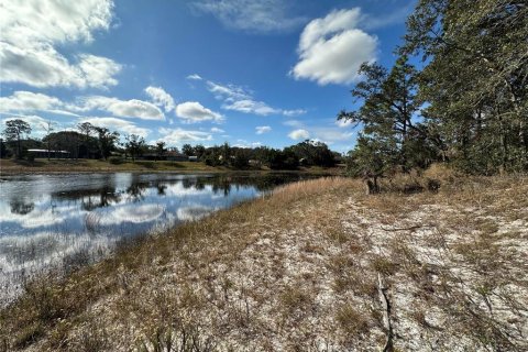 Terreno en venta en Spring Hill, Florida № 1542261 - foto 12