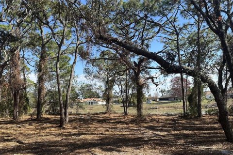 Terreno en venta en Spring Hill, Florida № 1542261 - foto 17