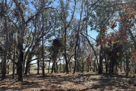 Terreno en venta en Spring Hill, Florida № 1542261 - foto 20