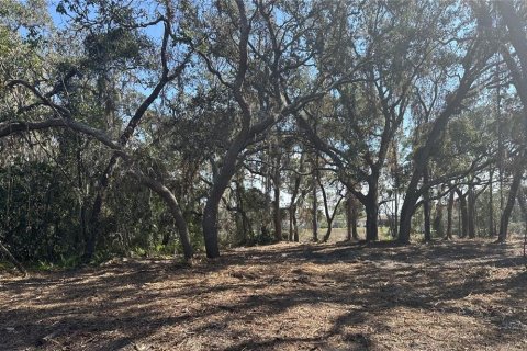 Terreno en venta en Spring Hill, Florida № 1542261 - foto 21