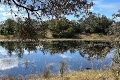 Terreno en venta en Spring Hill, Florida № 1542261 - foto 1
