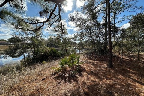 Terreno en venta en Spring Hill, Florida № 1542261 - foto 9