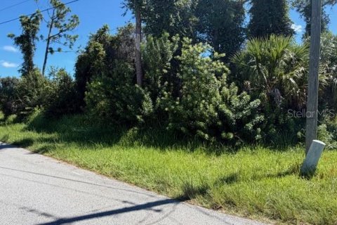 Land in North Port, Florida № 2164155 - photo 6