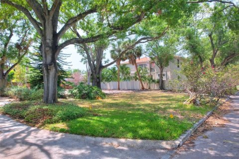 Land in Tampa, Florida № 1767004 - photo 23