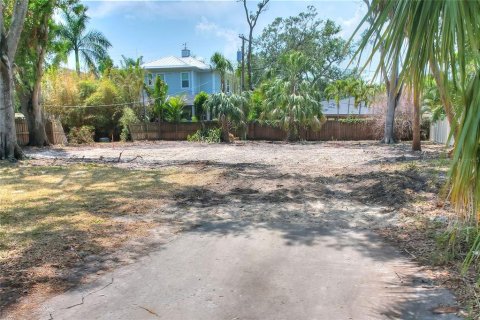 Land in Tampa, Florida № 1767004 - photo 19
