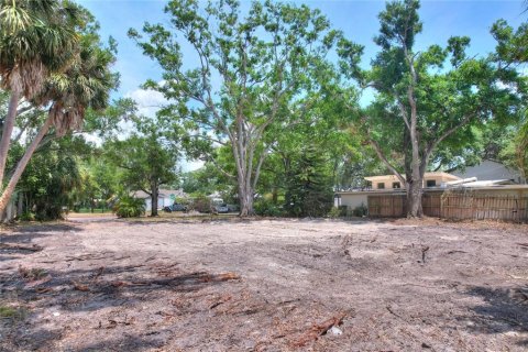 Land in Tampa, Florida № 1767004 - photo 20