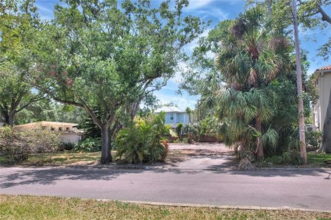 Land in Tampa, Florida № 1767004 - photo 18