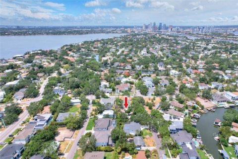 Land in Tampa, Florida № 1767004 - photo 2
