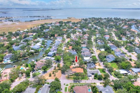 Land in Tampa, Florida № 1767004 - photo 8