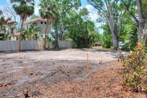 Land in Tampa, Florida № 1767004 - photo 21